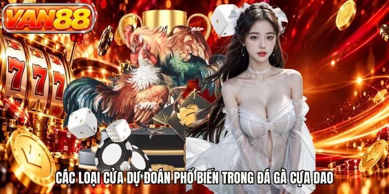 Các loại cửa dự đoán phổ biến trong đá gà cựa dao