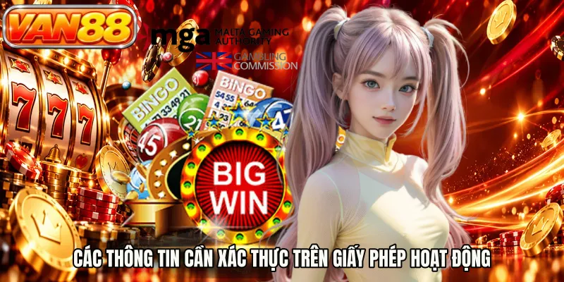 Các thông tin cần xác thực trên giấy phép hoạt động