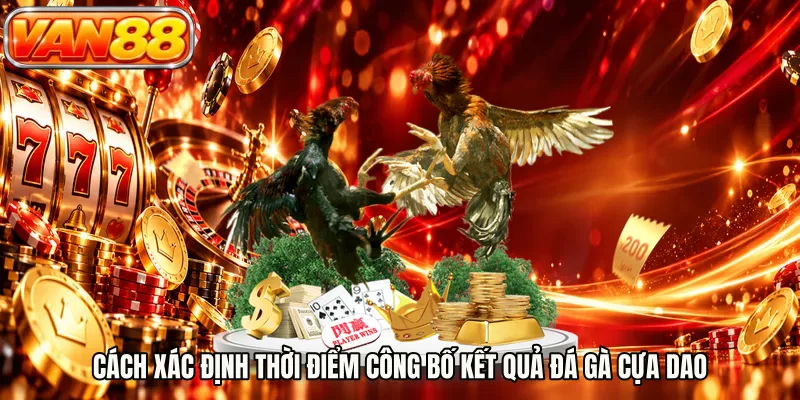 Cách xác định thời điểm công bố kết quả đá gà cựa dao