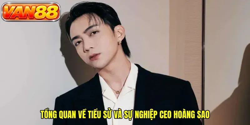 Tổng quan về tiểu sử và sự nghiệp CEO Hoàng Sao